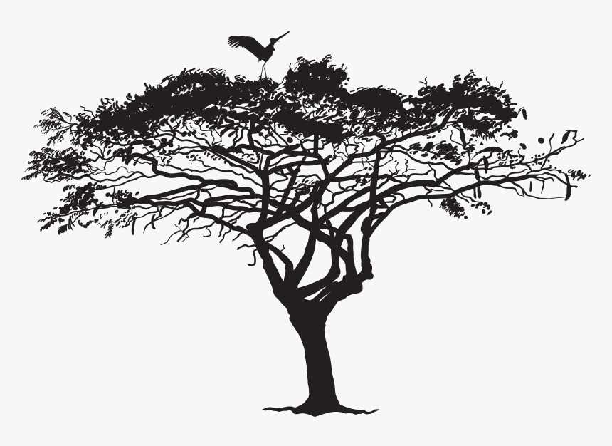 Birds Flying From Tree Silhouette Png - Tree Silhouette Png, Transparent Png, Free Download