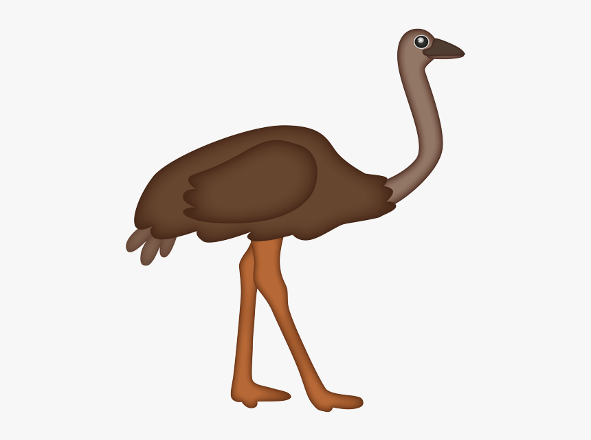 Ostrich, HD Png Download, Free Download