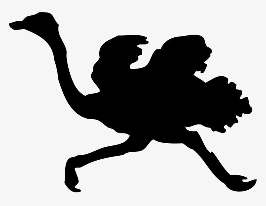 Silhouette Ostrich Clipart, HD Png Download, Free Download