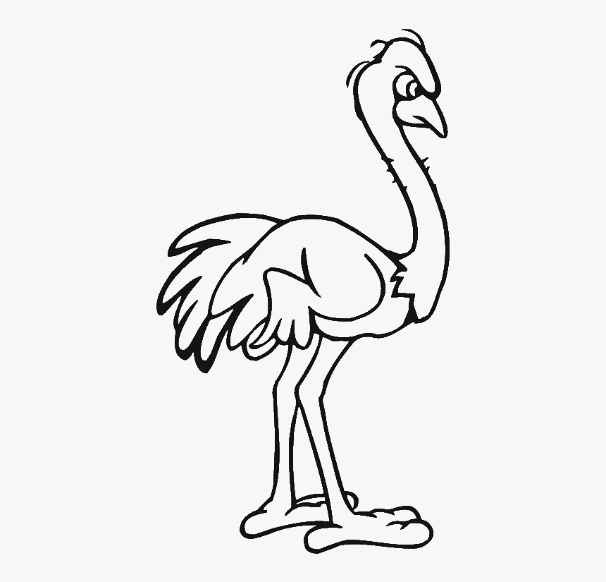 Common Ostrich Drawing Cartoon Clip Art - Cartoon Black And White Ostrich Png, Transparent Png, Free Download