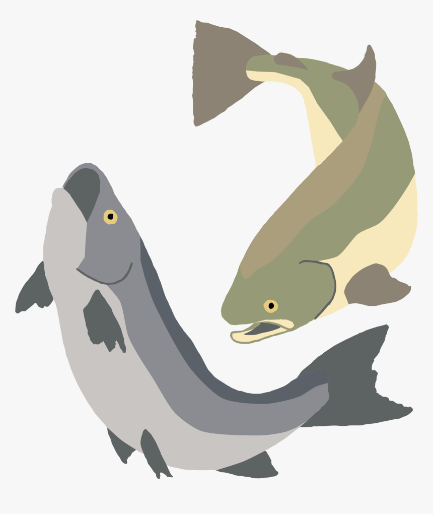 Donate-fish - Illustration, HD Png Download, Free Download