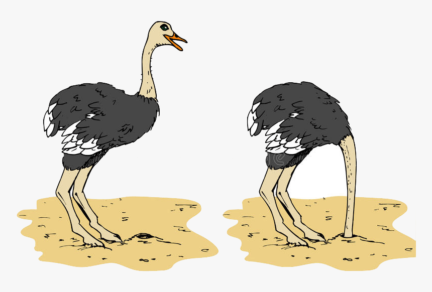 Ostrich Head In Sand Cartoon , Png Download - Ostrich With Head In The