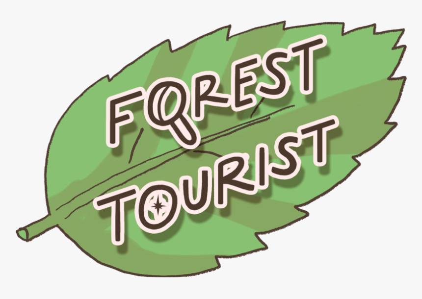 Forest-tourist Logo - Sign, HD Png Download, Free Download