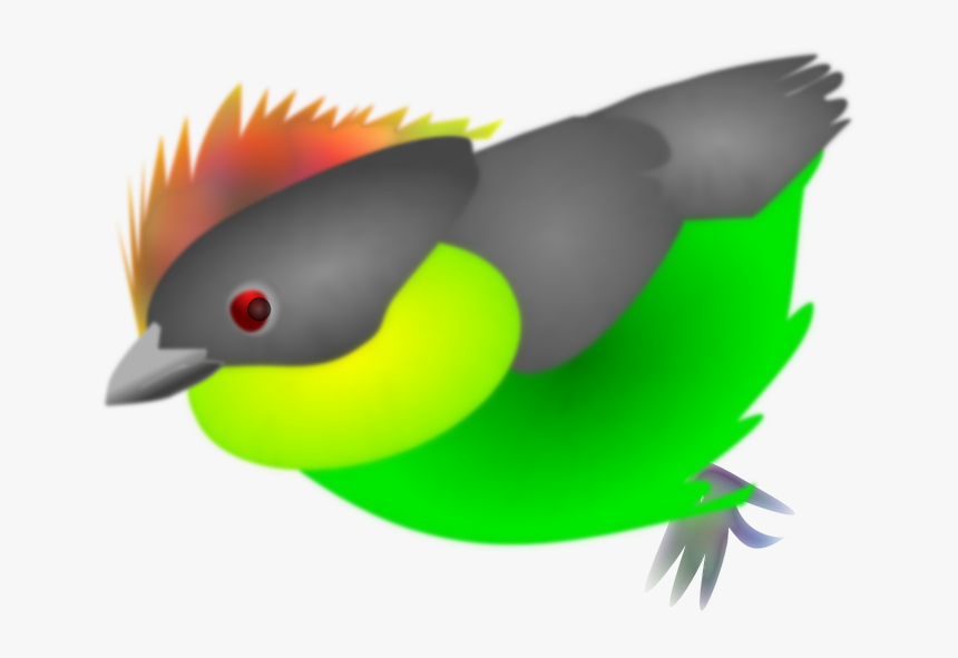 Finches, HD Png Download, Free Download