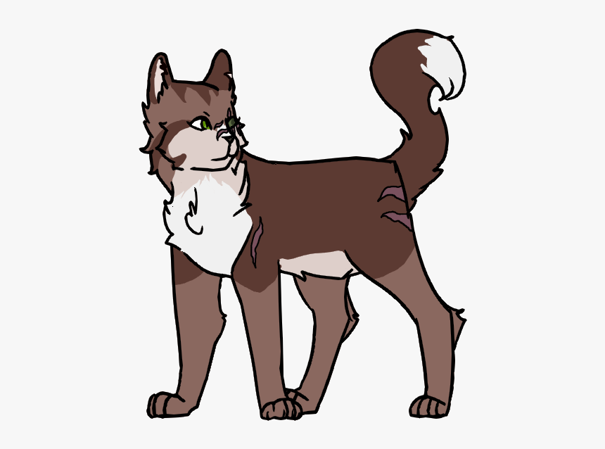 In Starclan Paws Wiki - Cartoon, HD Png Download, Free Download