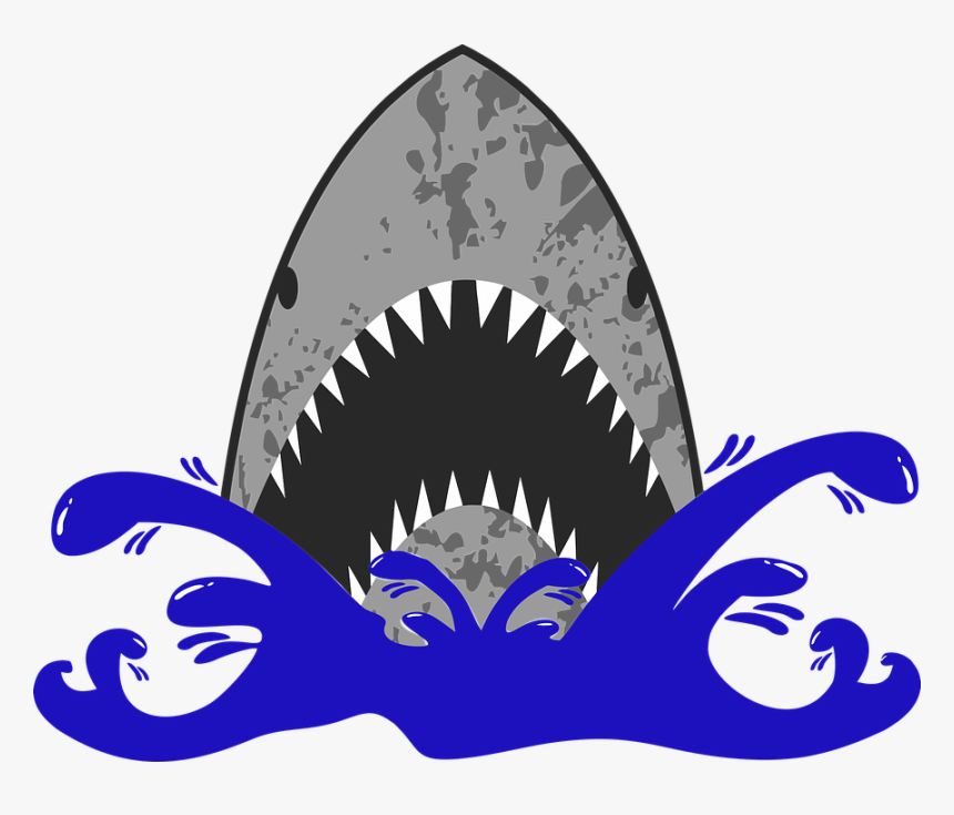 Sharks Of Monmouth County Nj Lecture, HD Png Download, Free Download