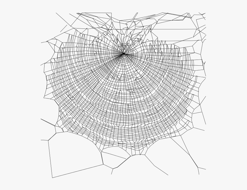 Schema Of Web - Designs Of Spider Webs, HD Png Download, Free Download