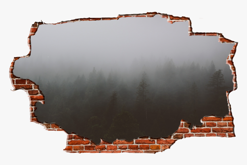 Zapwalls Decals Morning Forest Cloudy Sky Breaking - Break In Wall Png, Transparent Png, Free Download