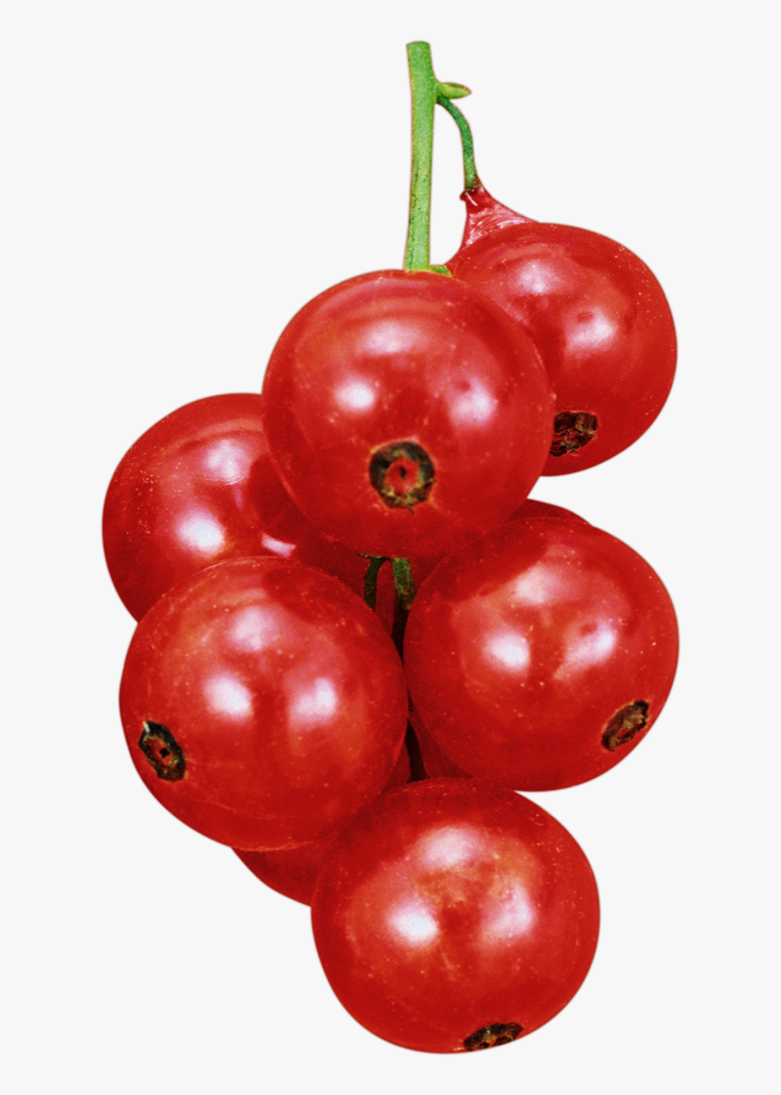 Cherry Tomatoes, HD Png Download, Free Download