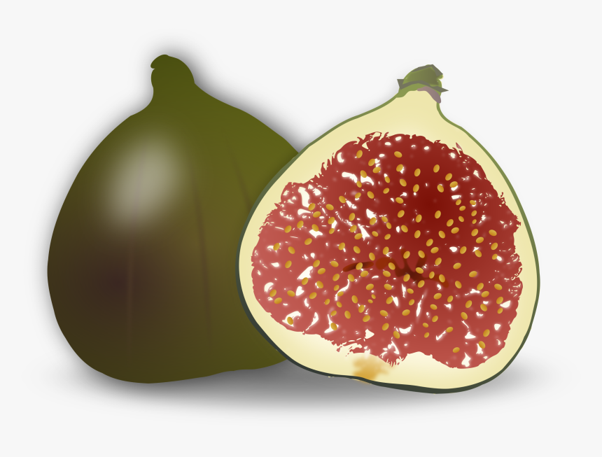 Fig Png High-quality Image - Fig Fruit Clipart, Transparent Png, Free Download