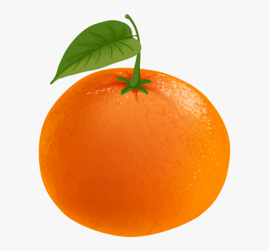 Imagem De Frutas - Mandarin Clipart, HD Png Download, Free Download