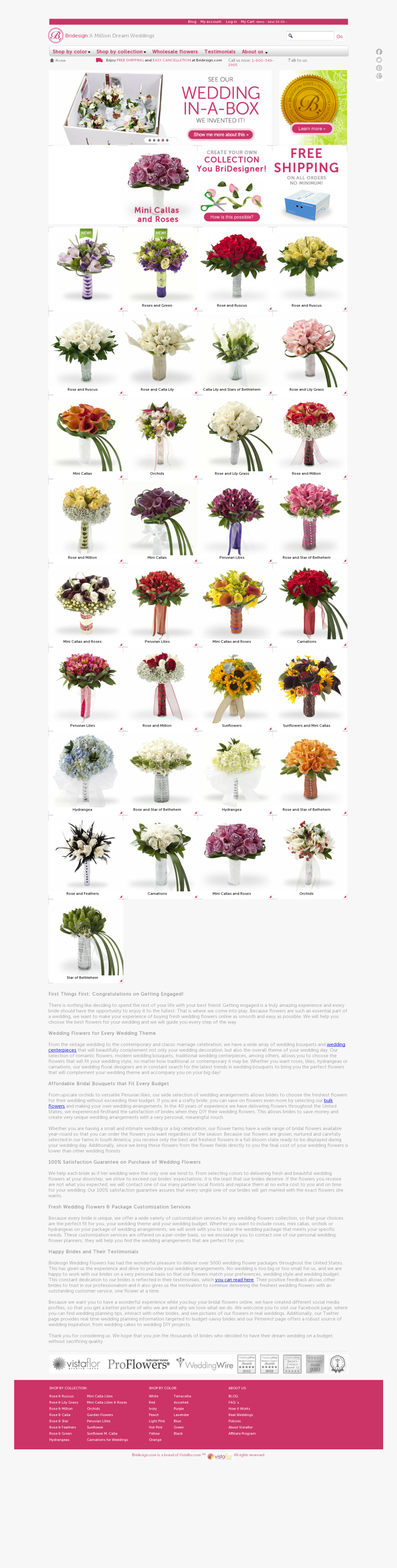 Chrysanths, HD Png Download, Free Download