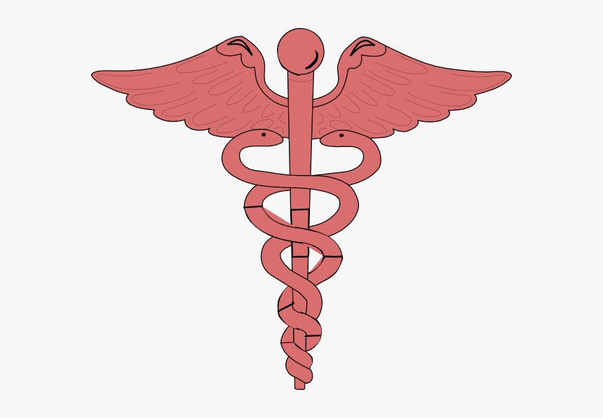 Computer Clip Art Nursing - Red Cross With Snake, HD Png Download, Free Download