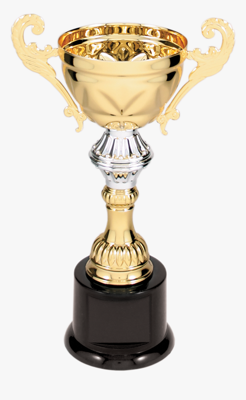 Award Trophy Winner, HD Png Download, Free Download