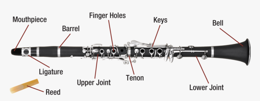 Transparent Clarinet Clipart - Parts Of A Clarinet With Diagram, HD Png Download, Free Download