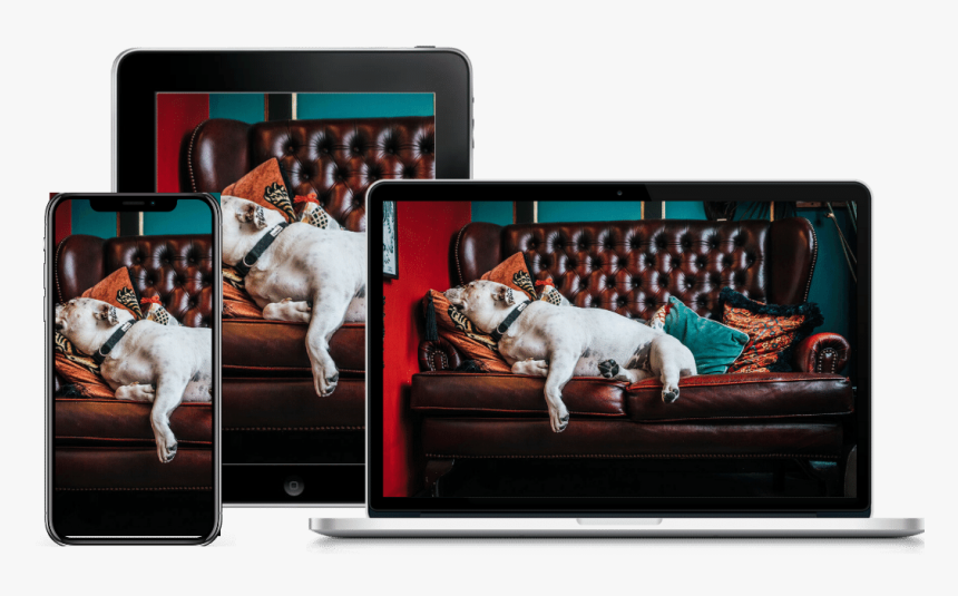 Happily Home Alone Pup Product Image - Couch, HD Png Download, Free Download