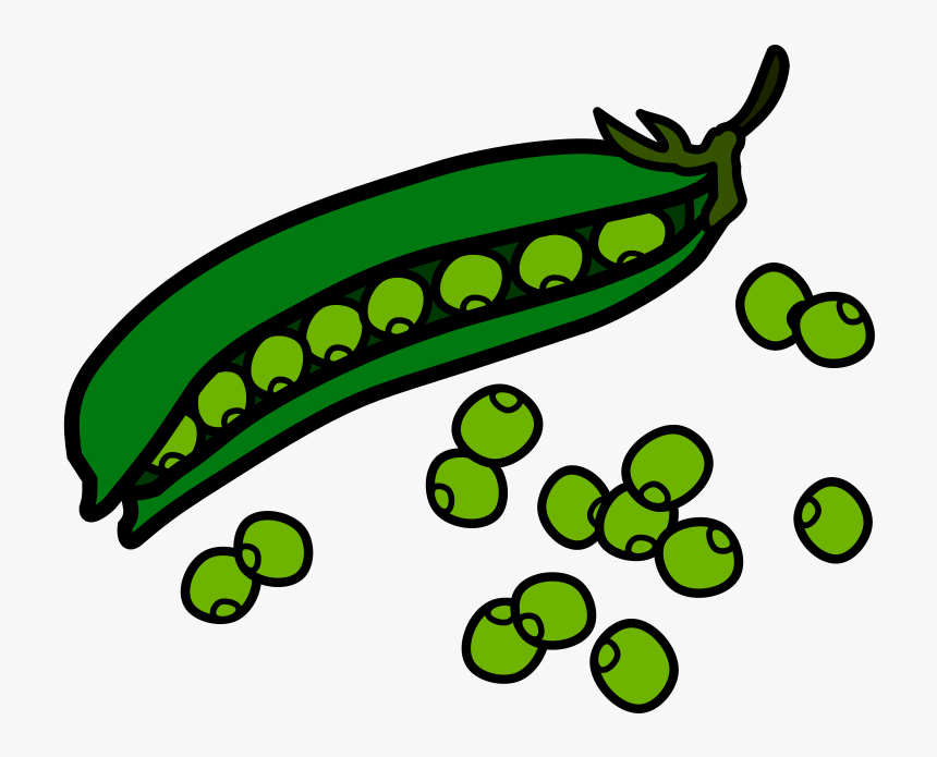 Manns Snow Peas Bag 6 Oz - Beans Clipart, HD Png Download, Free Download