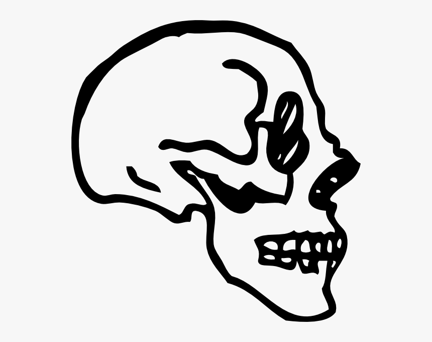 Skull Profile Art Png, Transparent Png, Free Download