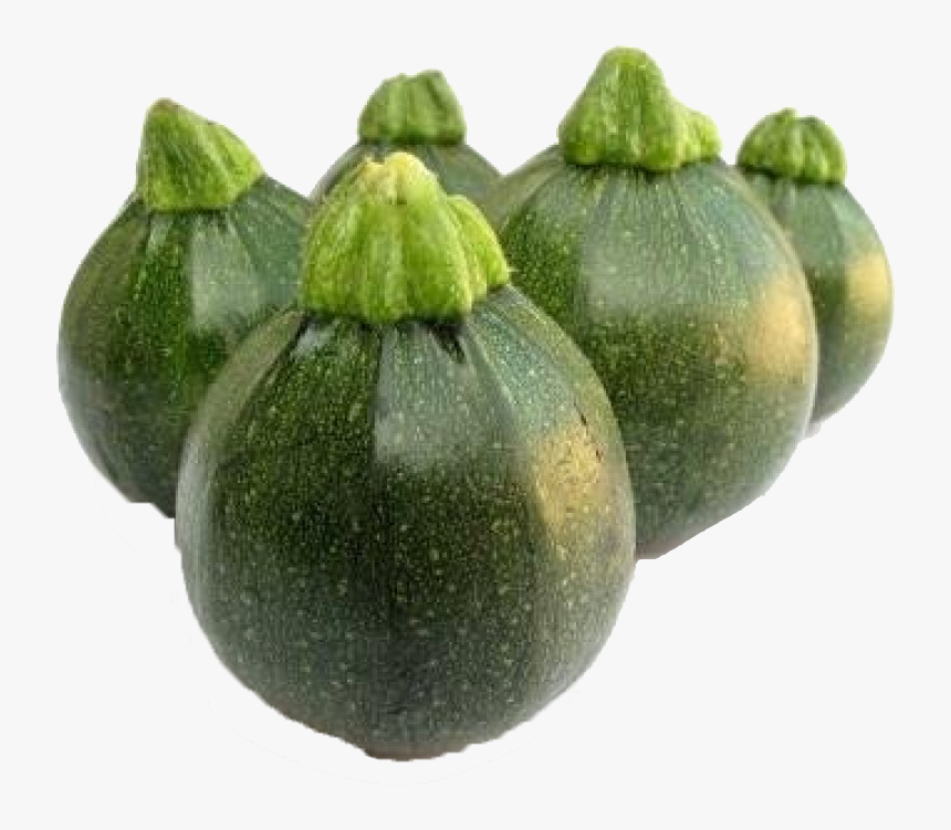 Small Green Pumpkin Png - Unique Vegetable, Transparent Png, Free Download