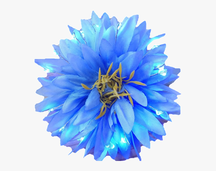 Blue Light Up Glowing Hair Flower -littlelightlab - Real Blue Flower Png, Transparent Png, Free Download