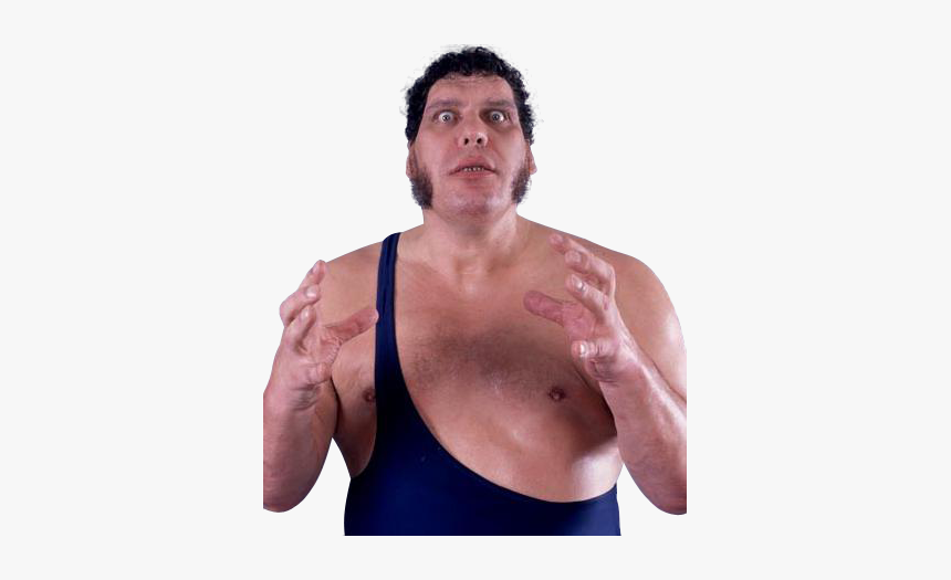 Andre The Giant The Big Show, HD Png Download, Free Download