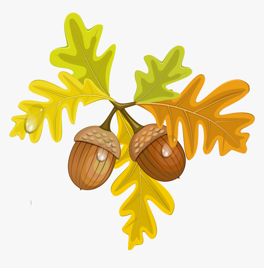 Leaves And Acorns Clipart, HD Png Download, Free Download