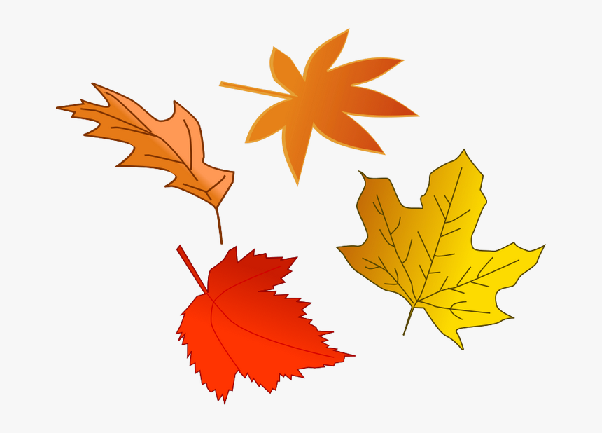 Fall Leaves Transparent Background Clipart - Fall Leaves Illustration, HD Png Download, Free Download