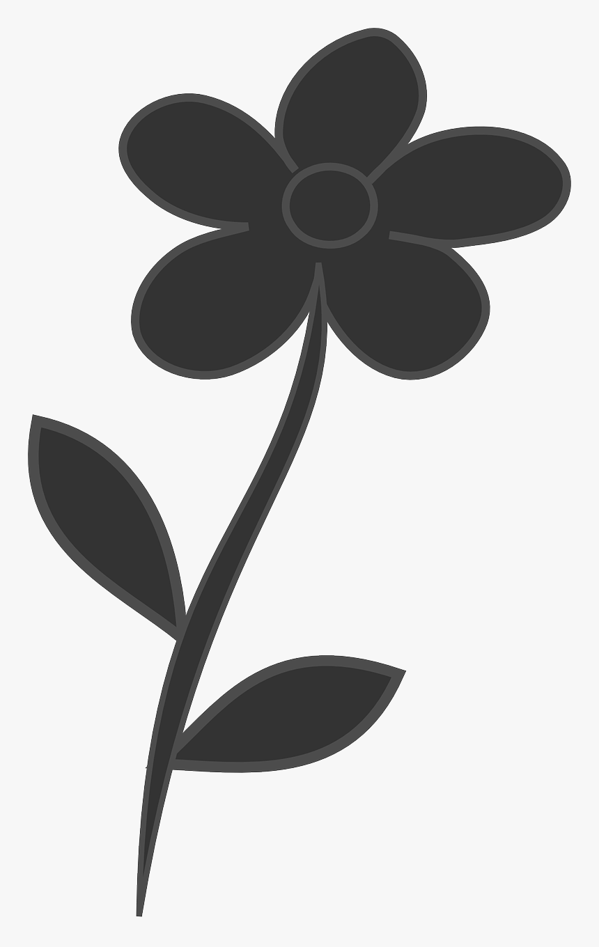 Floral Design, HD Png Download, Free Download