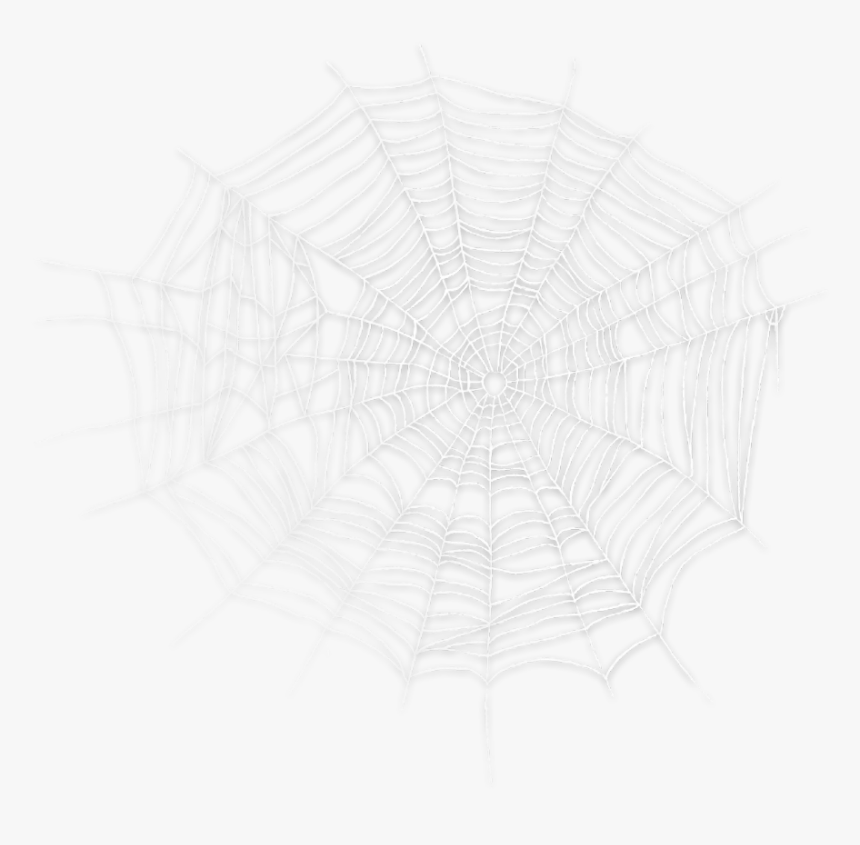 Spider Web, HD Png Download, Free Download