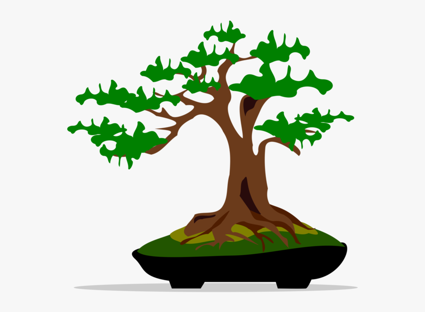 Bonsai,plant,leaf - Bonsai Cartoon Png, Transparent Png, Free Download