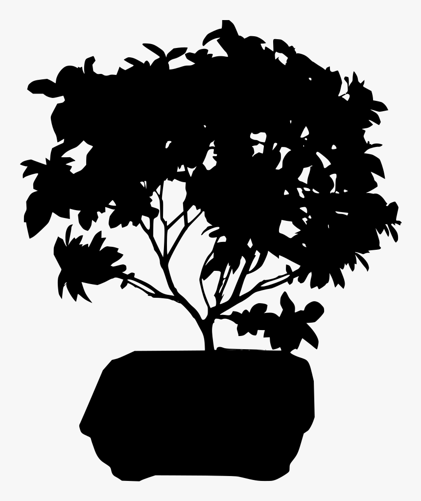 Transparent Background Ficus Bonsai, HD Png Download, Free Download