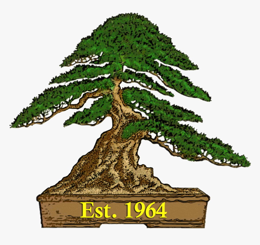 Logo bonsai