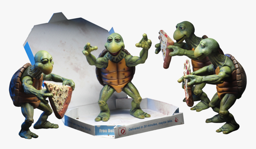 Teenage Mutant Ninja Turtles - Neca Tmnt Baby Turtles, HD Png Download, Free Download