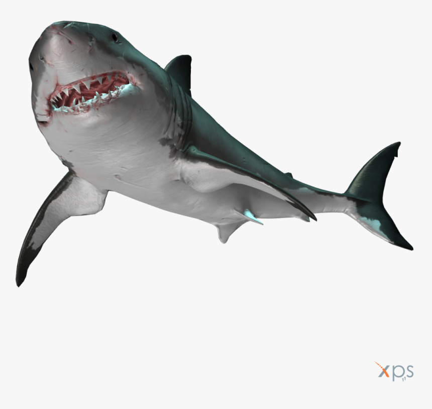 Great White Shark , Png Download - Xnalara Shark, Transparent Png, Free Download