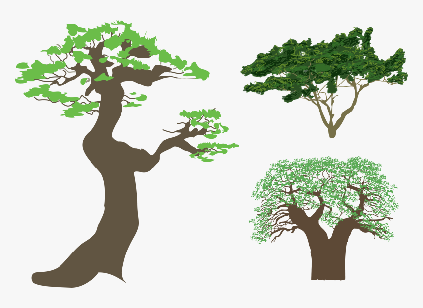 Tree Silhouette Illustration - Clip Art, HD Png Download, Free Download