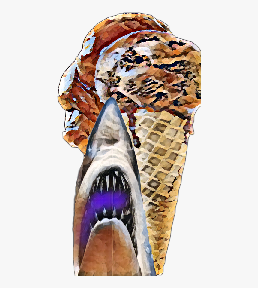 Transparent Shark Bite Clipart, HD Png Download, Free Download
