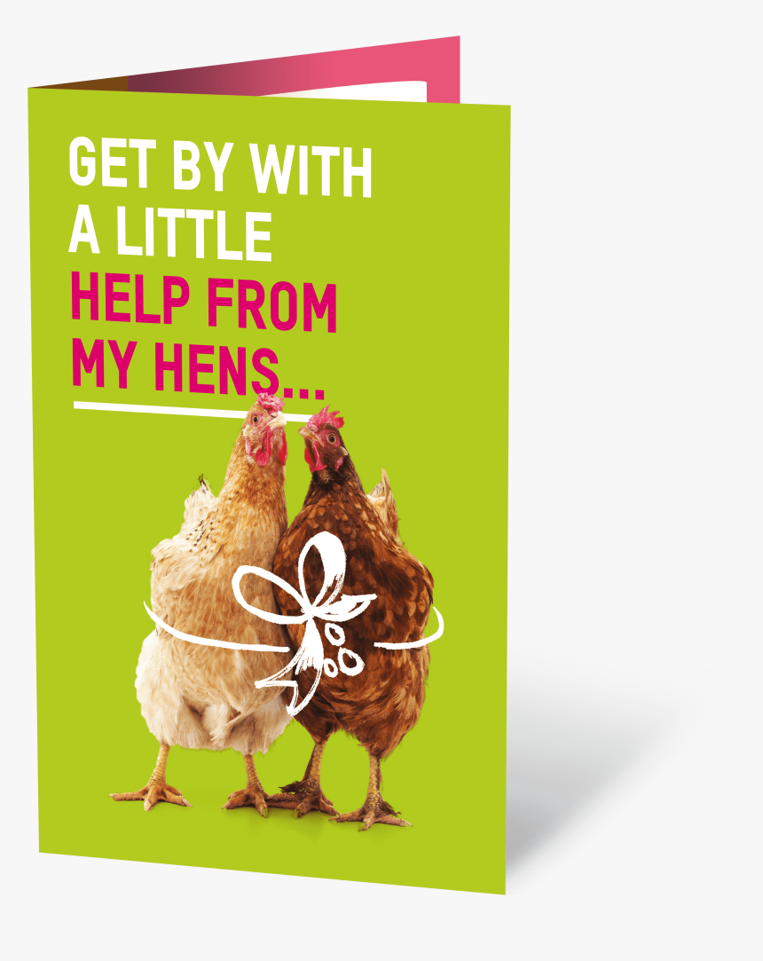Pair Of Chickens Oxfam Nz - Bánh, HD Png Download, Free Download