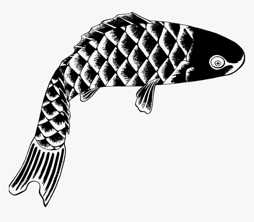 Vintage Png Patterns Pinterest - Vintage Japanese Fish Illustration, Transparent Png, Free Download
