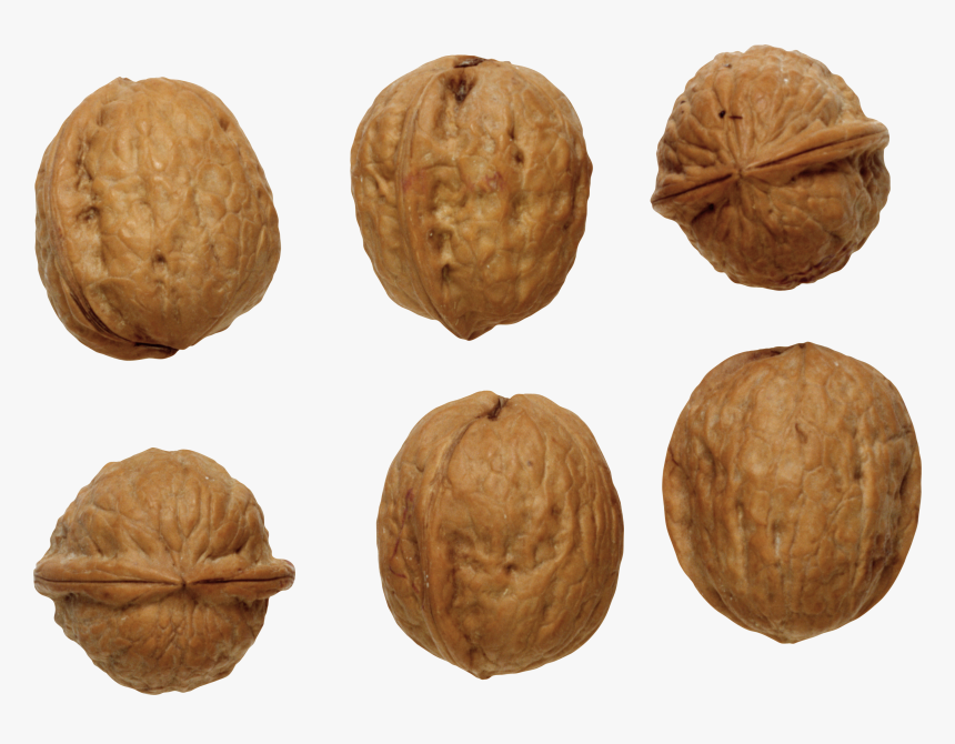 Download This High Resolution Walnut Transparent Png - Прозрачном Фоне Клипарты Грецкие Орехи, Png Download, Free Download