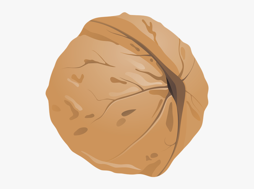 Walnut Png Clipart Image - Clipart Walnut, Transparent Png, Free Download
