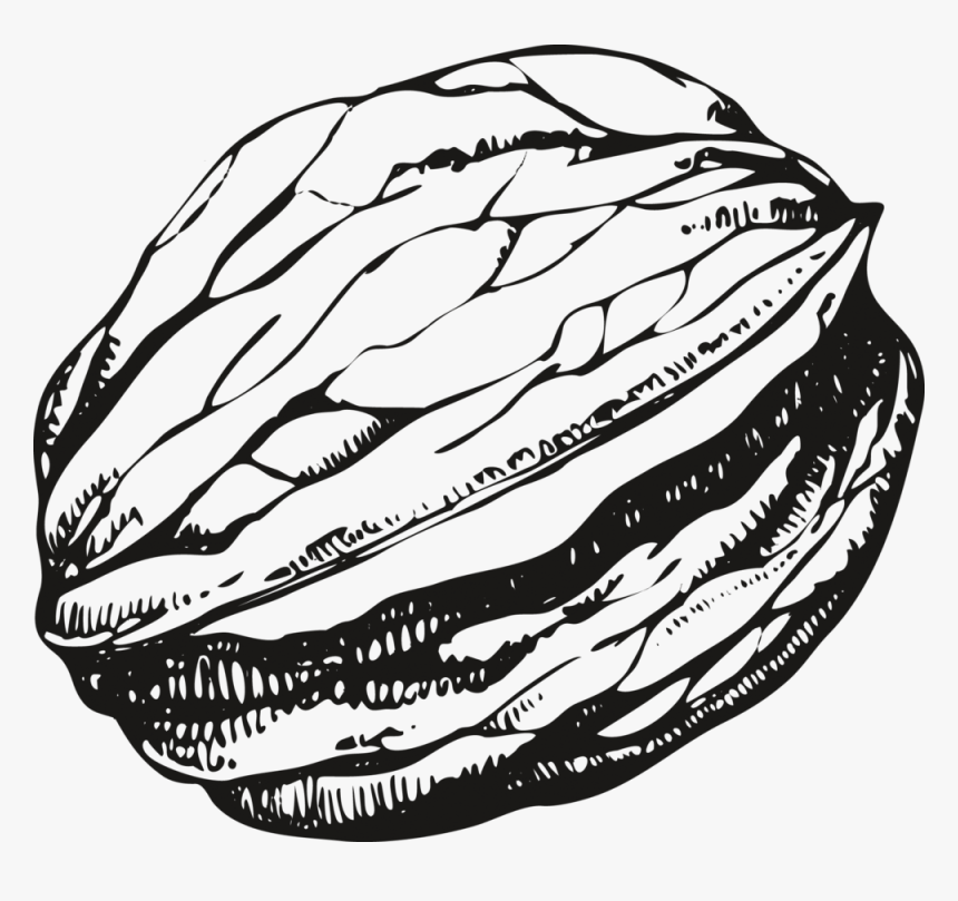Nut Black - Walnuts Png White And Black, Transparent Png, Free Download