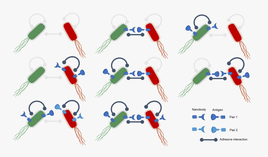 Clip Art, HD Png Download, Free Download