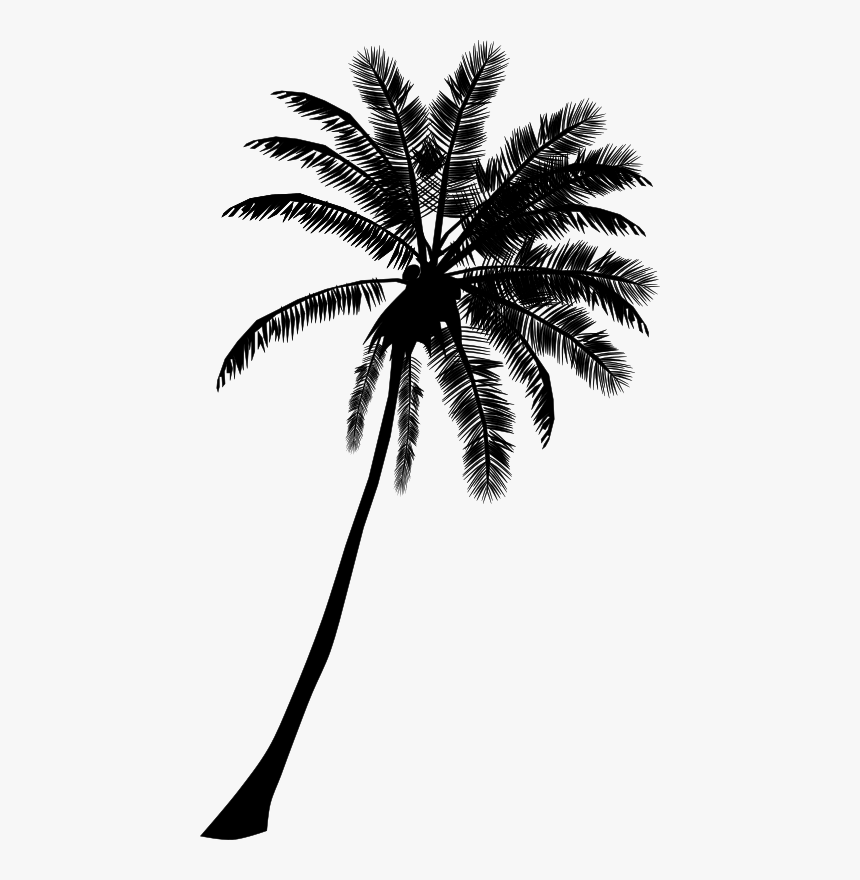 Palm Tree - Palm Tree Silhouette Png, Transparent Png, Free Download