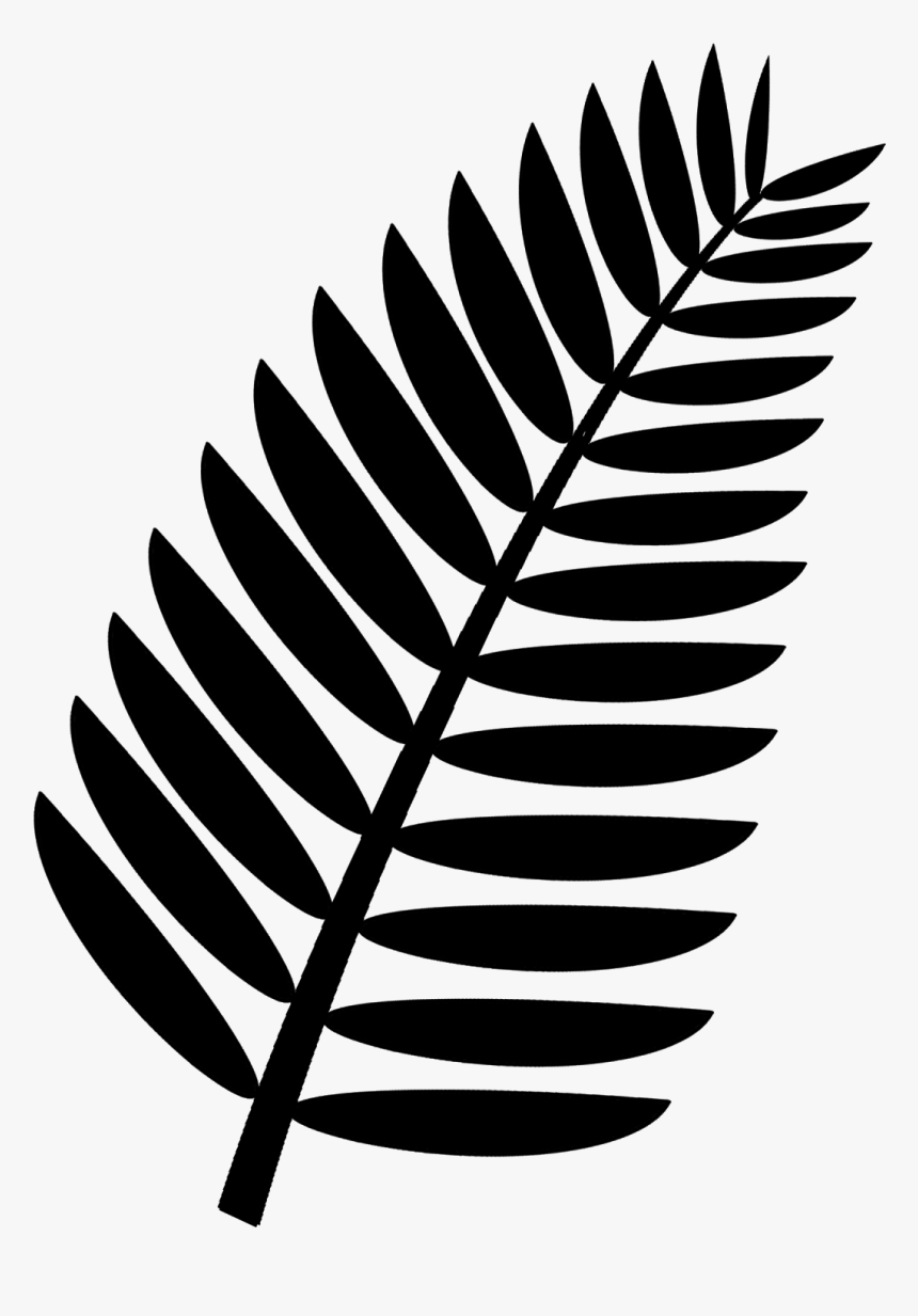 Palm Leaf Clipart Black And White, HD Png Download, Free Download