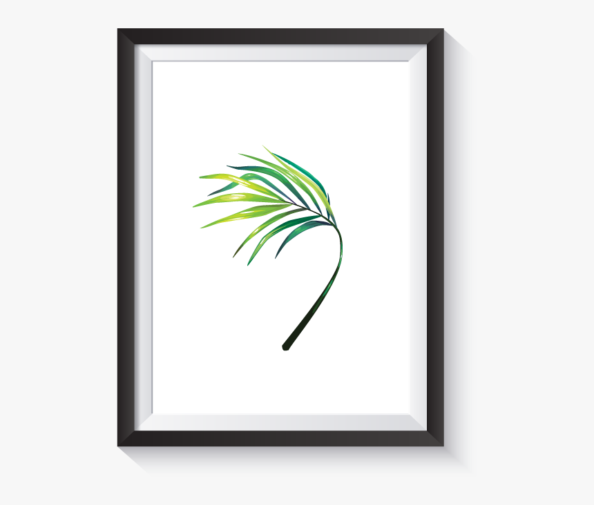 Scandi Illustrated Banana Palm Frond No, HD Png Download, Free Download