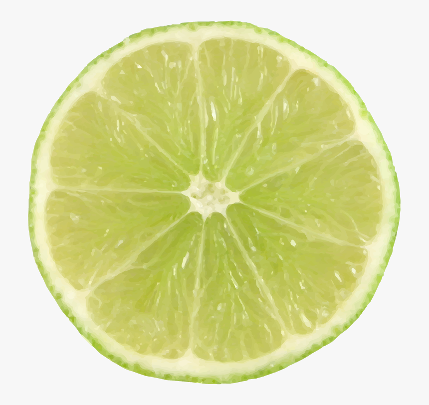 Lime Slice Png , Png Download - Lime Slice, Transparent Png, Free Download