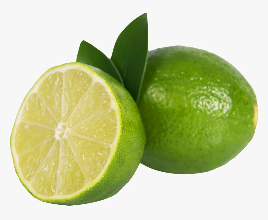 Transparent Lemon Slices Clipart - Lime Png, Png Download, Free Download