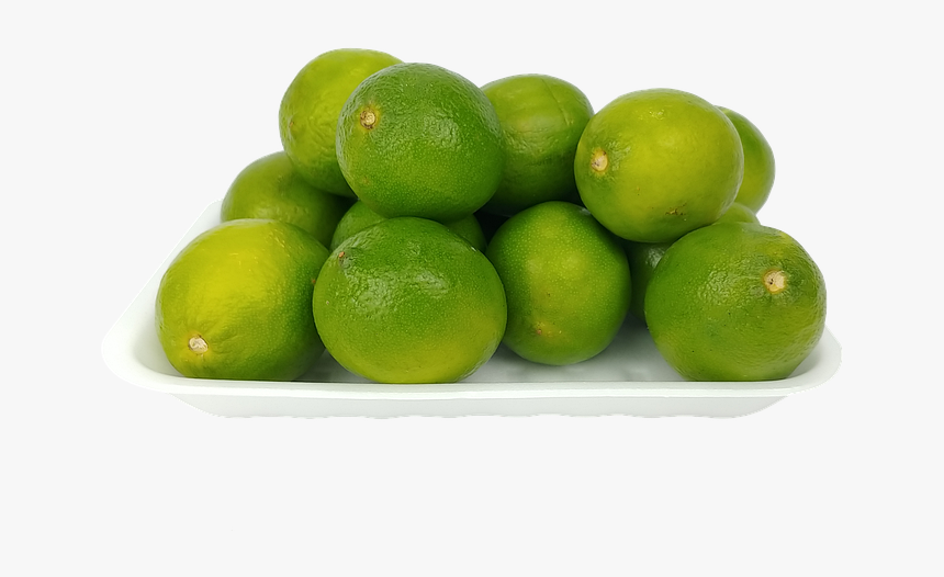 Persian Lime, HD Png Download, Free Download