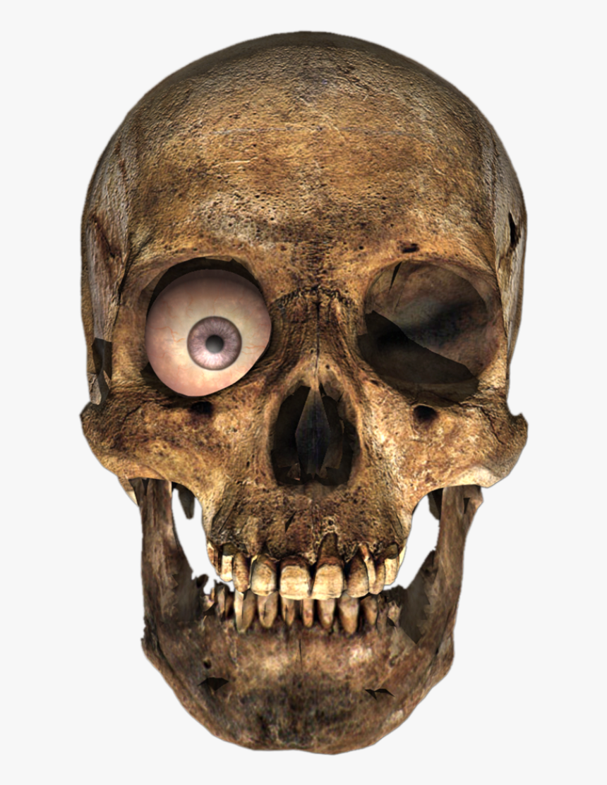 Skull Png Image, Transparent Png, Free Download
