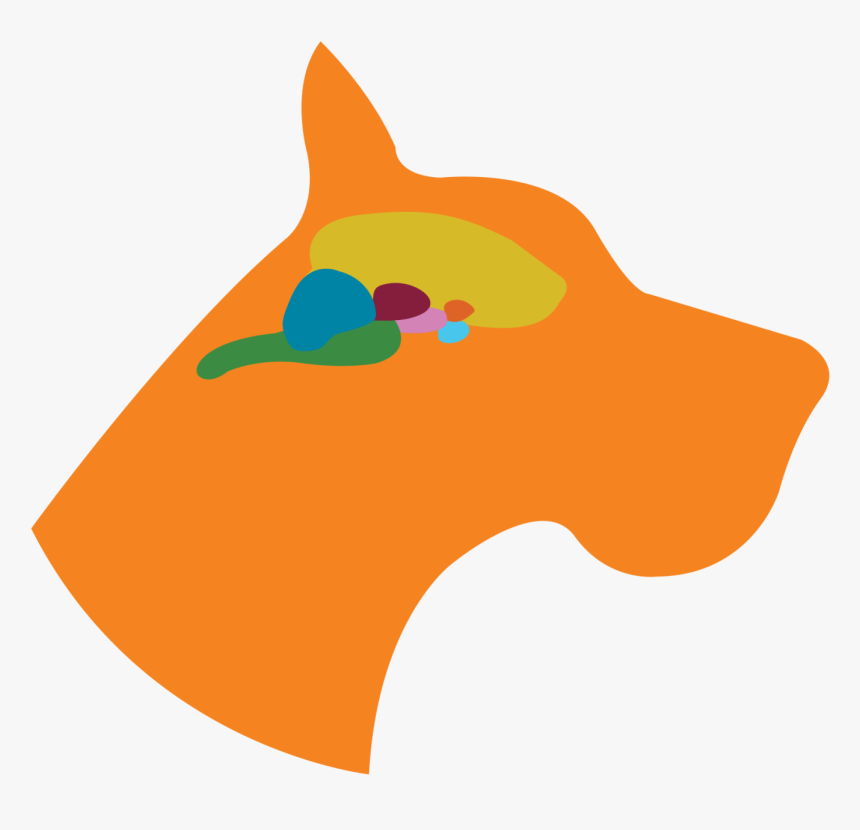 Brain Stem - Dog Head With Brain, HD Png Download, Free Download